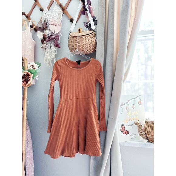 Autumn Woods Cinnamon Spice Ribbed Minimalist Twirl Dress 6 - Picture 1 of 3